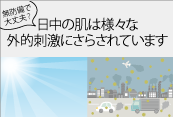 日中の肌は様々な外的刺激にさらされています