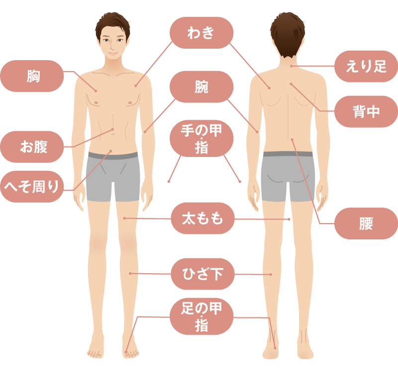 自宅で全身ケア