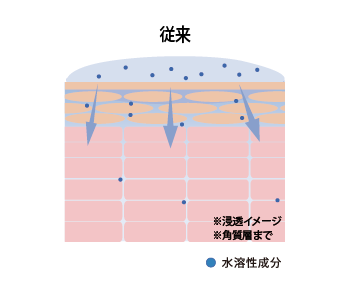 男性肌は皮脂が多く、また角層は親油性のため、水溶性成分は表面で弾かれてしまい浸透しにくい。