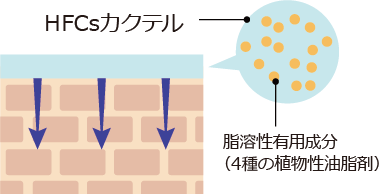 脂溶性の有効成分を高浸透させる「HFCs」