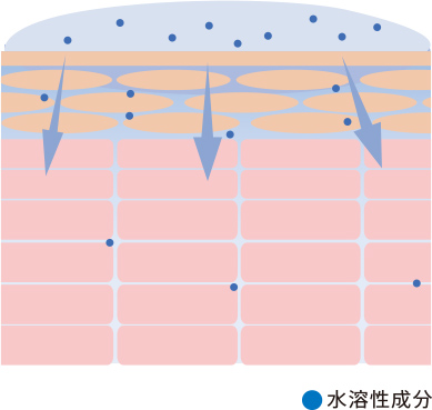 図：角層は親油性のため、水溶性成分は表面で弾かれてしまい浸透しにくくなります。