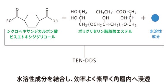 図：TEN-DDS