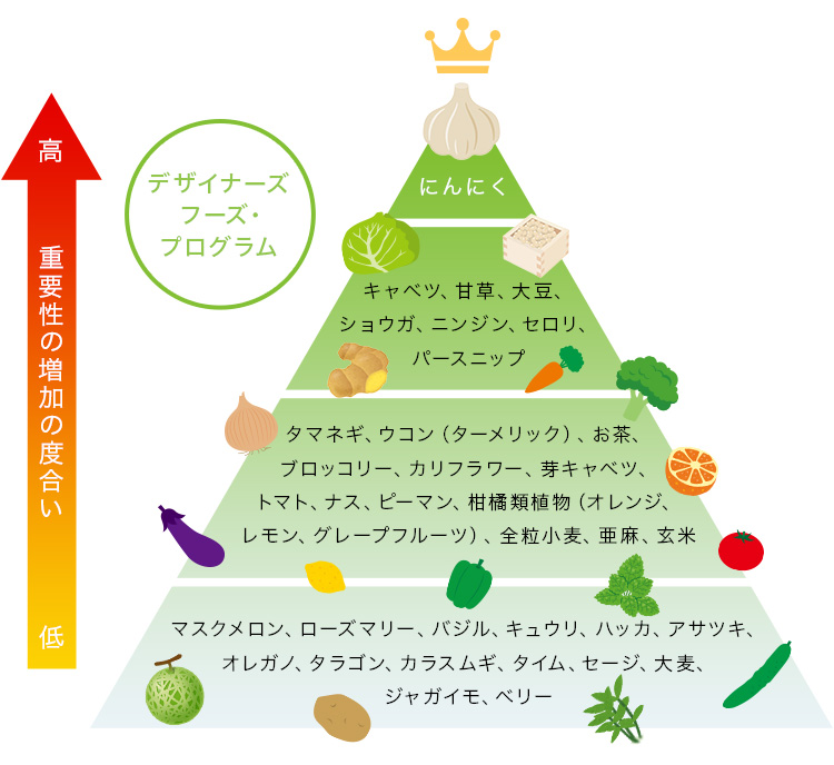 図:デザイナーフーズ計画
